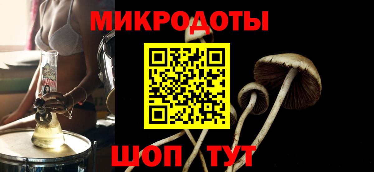Миасс  Псилоцибиновые грибы прущие грибы  Вход с VPN  Галлюциногенные грибы Psilocybine cubensis 